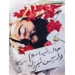 حسن شفیع‌زاده-پیکر