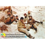 محمود شهبازی دستجردی