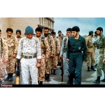 محمود کاوه
