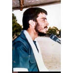 محمود کاوه
