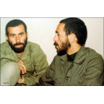 سیدمحمدرضا دستواره