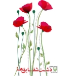 کتاب دشت شقایق‌ها-طرح روی جلد