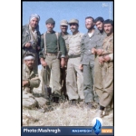محمد بروجردی و شهید آبشناسان