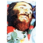 محمد بروجردی-پیکر