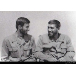 مهدی احسان‌نیا