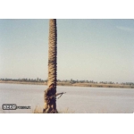 طاهر اجاقلو