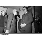 جواد فکوری