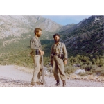 رضا چراغی