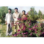 رضا چراغی در کنار شهید دستواره