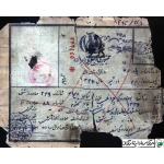 رضا چراغی-شناسنامه