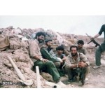 سیدمجتبی هاشمی