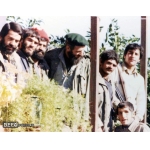 سیدمجتبی هاشمی