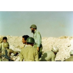 سیدمجتبی هاشمی