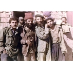 سیدمجتبی هاشمی