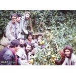 سیدمجتبی هاشمی