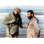 سیدمجتبی هاشمی