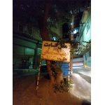 سردشت