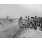 عملیات کربلا 8