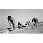 عملیات والفجر 9