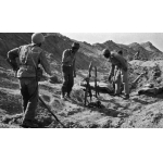 عملیات محرم