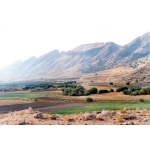 بازی دراز