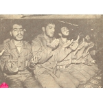 علیرضا موحددانش