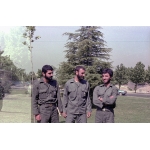 مجید بقائی